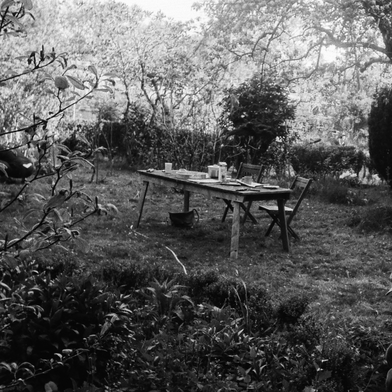 A black and white photograph of a rustic garden scene. The image features a wooden table and chairs set up on an overgrown grassy area, surrounded by dense foliage and trees. The table is covered with various items, suggesting recent use. The atmosphere is tranquil and nostalgic, with a focus on the natural, untamed beauty of the garden. The overall mood is serene and contemplative.